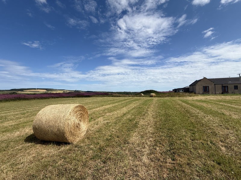 Monlettie Croft, Turriff
