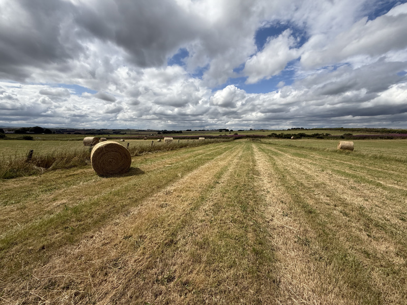 Monlettie Croft, Turriff