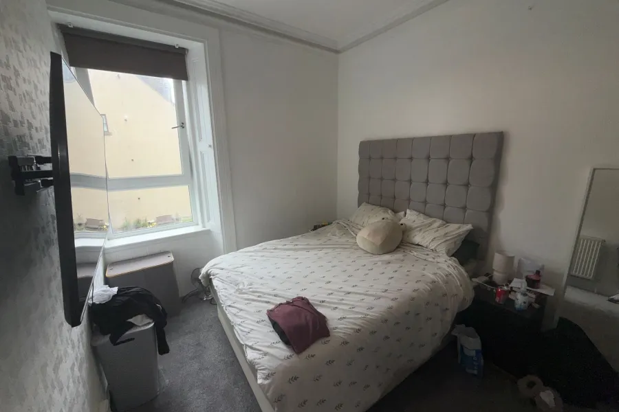 Image 7 