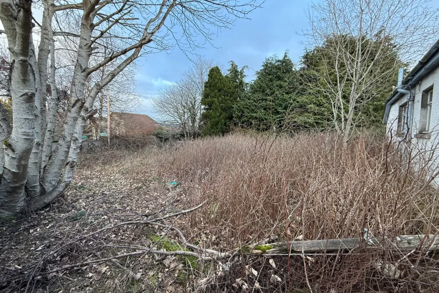 Image 9 