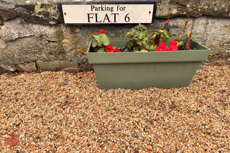 Image 10 