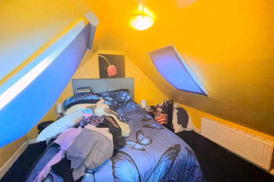 Image 7 