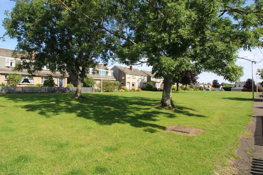 Image 12 